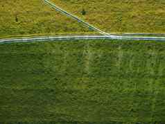 空中视图绿色小麦场农村场小麦吹风日落年轻的绿色小穗耳朵大麦作物自然农学行业食物生产