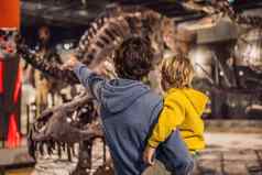 首尔韩国爸爸男孩看恐龙骨架博物馆