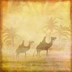 骆驼火车的轮廓天空穿越撒哈拉沙漠沙漠