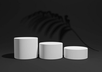 黑色的黑暗灰色的黑色的白色渲染简单的最小的产品显示作文背景<strong>领奖台</strong>站棕榈叶阴影背景自然产品