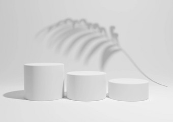 白色光灰色的黑色的白色渲染简单的最小的产品显示作文背景领奖台站棕榈叶阴影背景自然产品