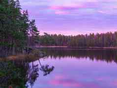 漂亮的日出美森林湖