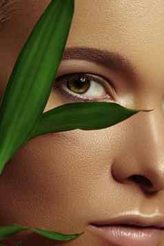 特写镜头美丽的年轻的女人光滑的晒黑皮肤绿色叶子美模型自然青铜化妆