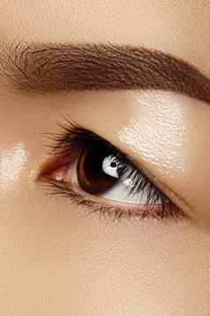 美丽的宏女眼睛经典清洁化妆完美的形状眉毛化妆品化妆护理眼睛