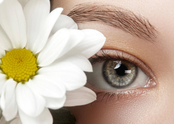 特写镜头宏美丽的女眼睛完美的形状眉毛春天自然洋甘菊花