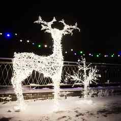 节日灯灯形状鹿晚上晚上节日照明