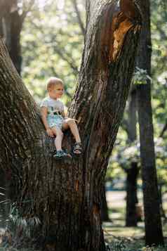 肖像男孩坐着大树城市公园