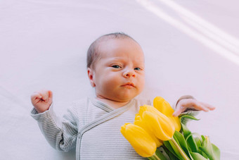 新生儿婴儿花束郁金香3月婴儿花黄色的郁金香