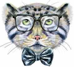 水彩肖像兔狲猫猫大黑色的眼镜白色背景