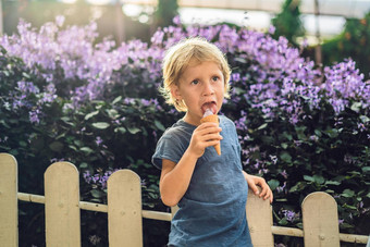 冠状病毒检疫削弱了面具公共的地方男孩吃薰衣草冰奶油背景薰衣草场