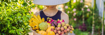 各种水果越南他女人越南他横幅长格式