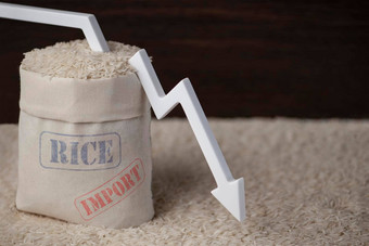 大米进口减少进口大米粮食作物世界食物危机禁止粮食农业进口
