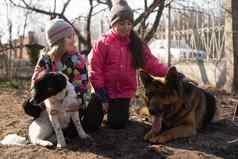 孩子们运行宠物德国牧羊人小狗公园