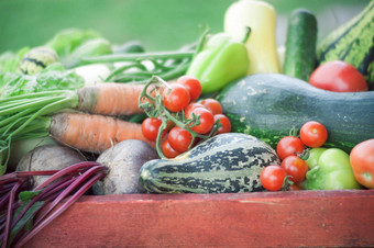 有机蔬菜收获<strong>生态农业</strong>概念