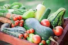 有机蔬菜收获生态农业概念