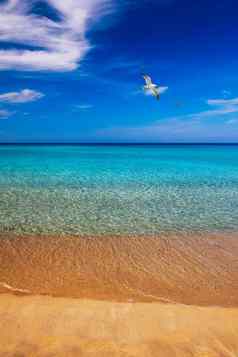 黄色的温暖的沙子夏天海天空免费的空间海沙子天空夏天一天海滩海夏天一天旅行概念假期放松夏天沙子海滩海背景