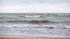 巨大的波愤怒的海海鸥喷雾波