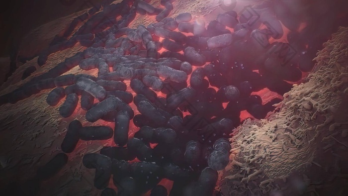 幽门螺杆菌幽门克微量需氧的细菌落定胃图片-包图网企业站