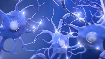 神经元基本单位大脑紧张系统
