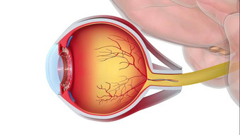 青光眼眼睛条件损害赔偿视神经至关重要的好愿景