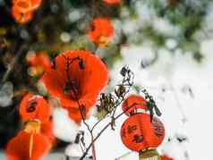 红色的纸灯笼庆祝中国人一年