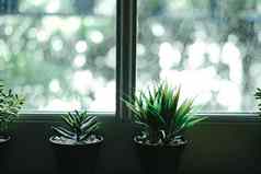 人工植物树能窗口
