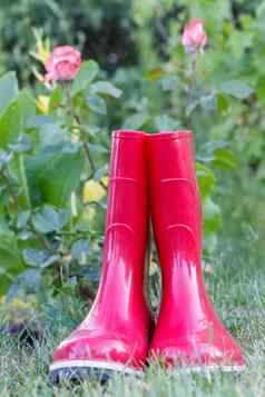 红色的花园橡胶靴子绿色草模糊绿色背景