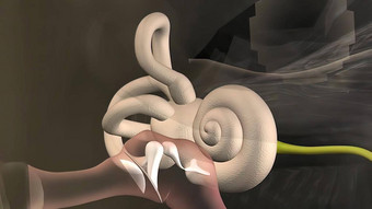 解剖学人类耳朵耳朵结构<strong>输入声音</strong>耳朵运河