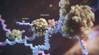渲染插图单海滩核醣核酸酸RNA研究治疗