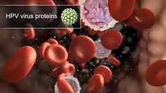 高分子肝炎病毒蛋白质抗体
