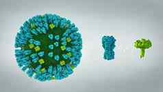 微生物学病毒