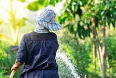 女人园丁浇水植物树花园