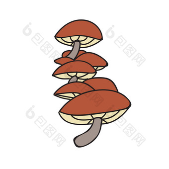 蜂蜜蘑菇手画孤立的插图白色背景