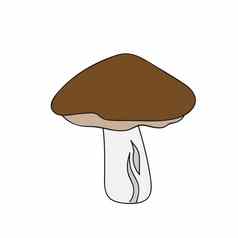牛肝菌属蘑菇简单的手画风格向量插图