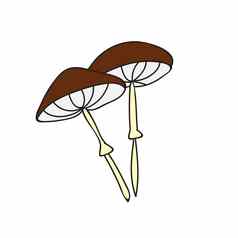 可爱的蘑菇涂鸦风格有毒的蘑菇羊肚菌向量