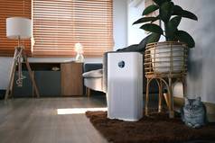 空气净化器可爱的猫室内植物木地板上生活房间空气污染概念