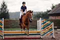 活跃的女人女孩骑师培训骑马跳栅栏马术体育运动竞争活动
