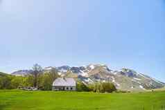 孤独的房子绿色草地背景山雪黑山共和国
