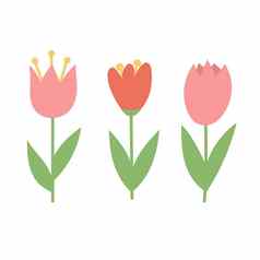 简单的卡通图标白色背景郁金香花朵3月