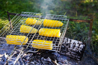 烤玉米玉米穗轴黄色的多汁的玉米烤线架
