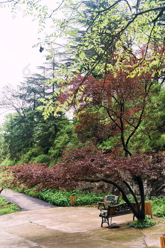 国家植物花园第比利斯植物世界