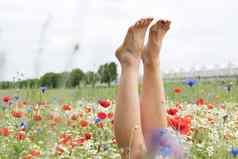 女腿坚持场五彩缤纷的花爆炸颜色