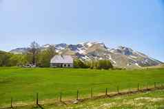 孤独的房子绿色草地背景山雪黑山共和国