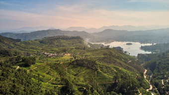 空中视图茶种植园斯里兰卡斯里兰卡视图亚当的峰达尔豪斯村茶种植园湖泊