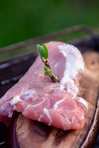 块未煮过的猪肉里脊肉树枝新鲜的欧芹广场白色菜乡村表格