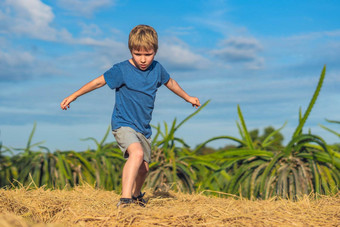 男孩玩站干草堆包有准备好了跳清晰的蓝色的天空太阳一天户外孩子孩子们夏天休闲活动概念快乐童年农村空气自然
