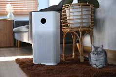 可爱的虎斑猫坐着空气净化器生活房间空气污染概念