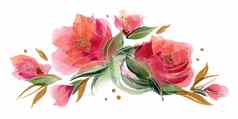 粉红色的水彩花花冠作文精致的玫瑰花
