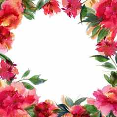 粉红色的牡丹植物水彩花粗心大意的框架