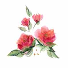 粉红色的花作文精致的香玫瑰花
